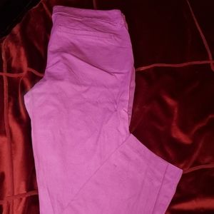 Beautiful pinkish lavender pixie pants